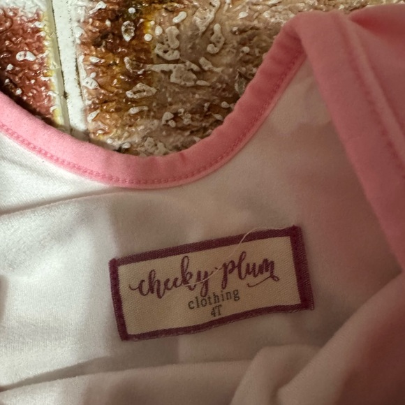 Cheeky Plum pastel tiered skirted dance leotard 4t - Picture 2 of 3